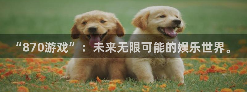 杏耀app怎样申请：“870游戏”：未来无限可能的娱乐世界。