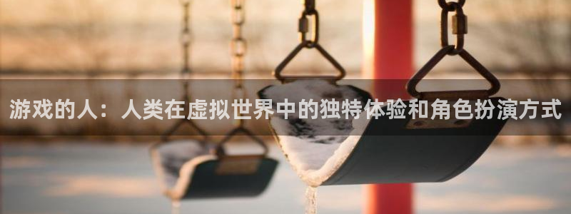 杏耀平台登录网址客服：游戏的人：人类在虚拟世界中的独特体验和