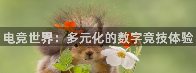 杏耀平台测：电竞世界：多元化的数字竞技体验