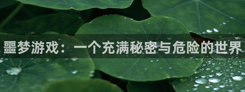 杏耀测速|杏耀代理