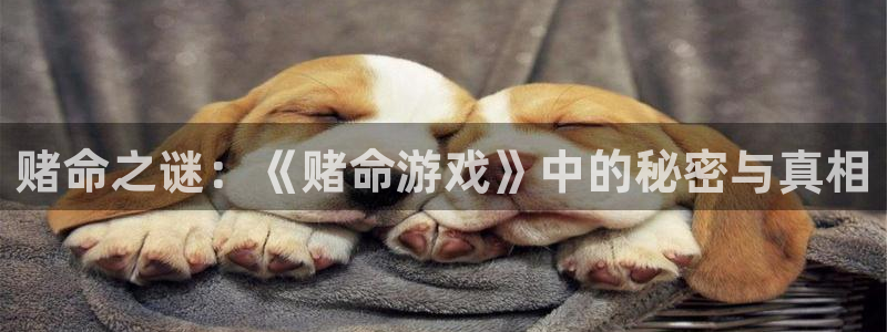 杏耀注册平台是免费下载吗