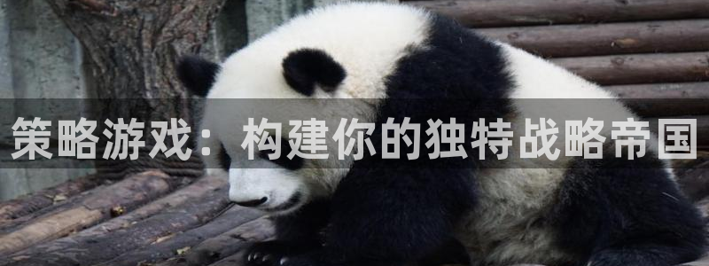 杏耀代理登录中心