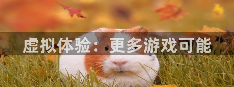 杏耀是什么平台