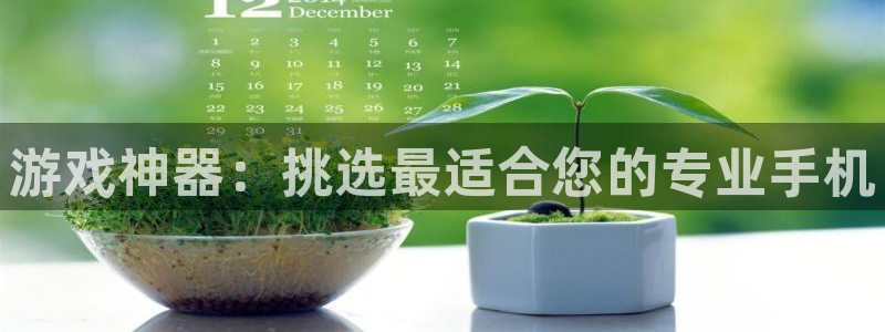 杏耀平台官网登录：游戏神器：挑选最适合您的专业手机