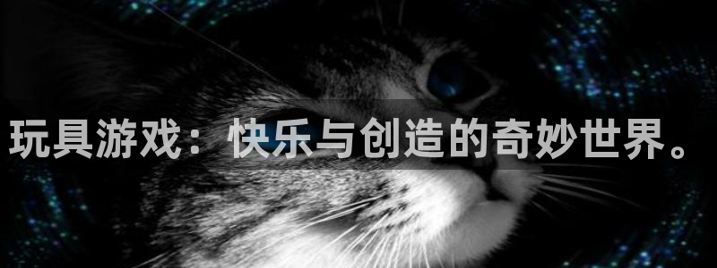 杏耀平台娱乐关闭了吗：玩具游戏：快乐与创造的奇妙世界。