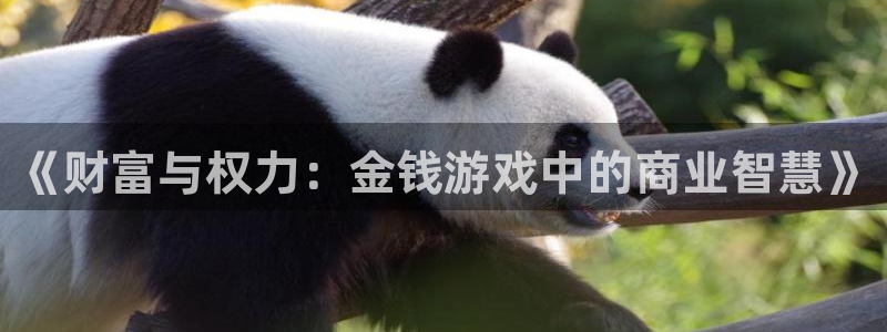 杏耀网页登录网址查询：《财富与权力：金钱游戏中的商业智慧》