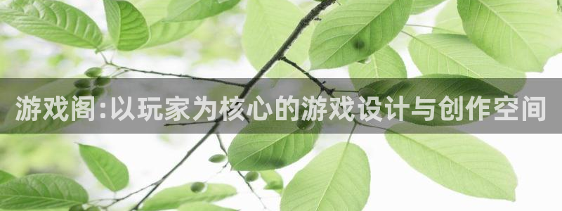 杏耀登录测试网址：游戏阁:以玩家为核心的游戏设计与创作空间