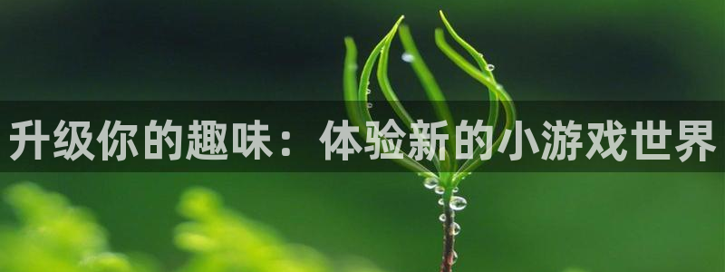 杏耀手机登录线路测速：升级你的趣味：体验新的小游戏世界